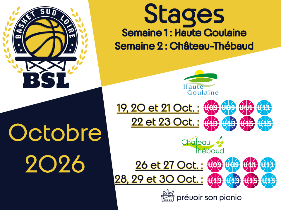 🏀 ☀ Stages des vacances Octobre 2026
