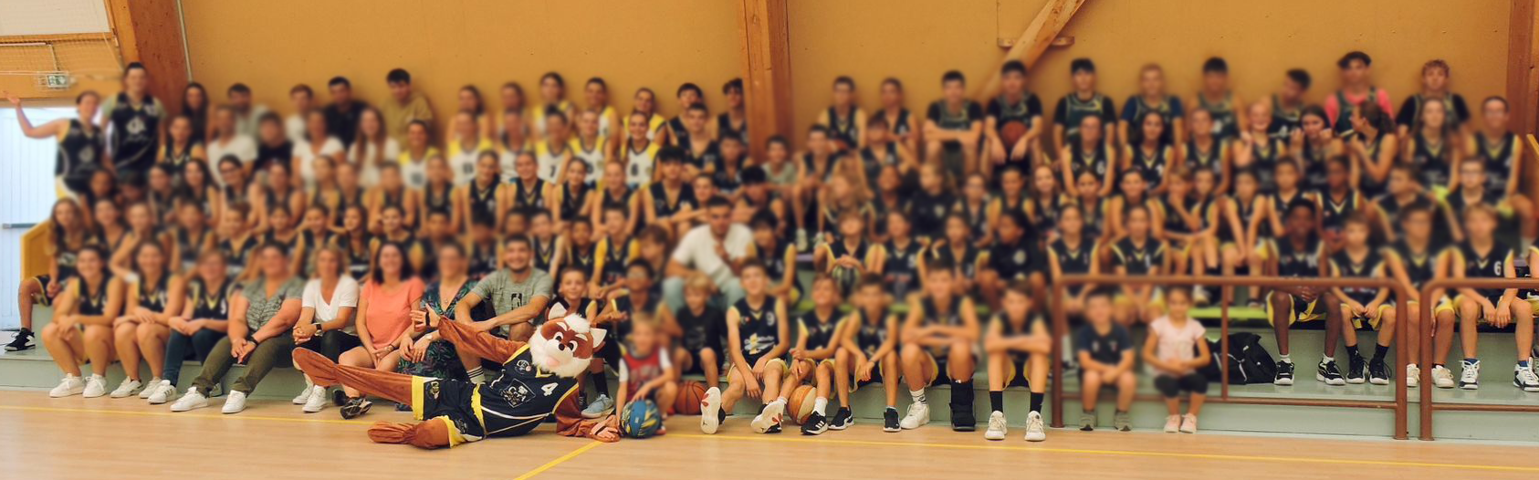 Bannière Basket Sud Loire